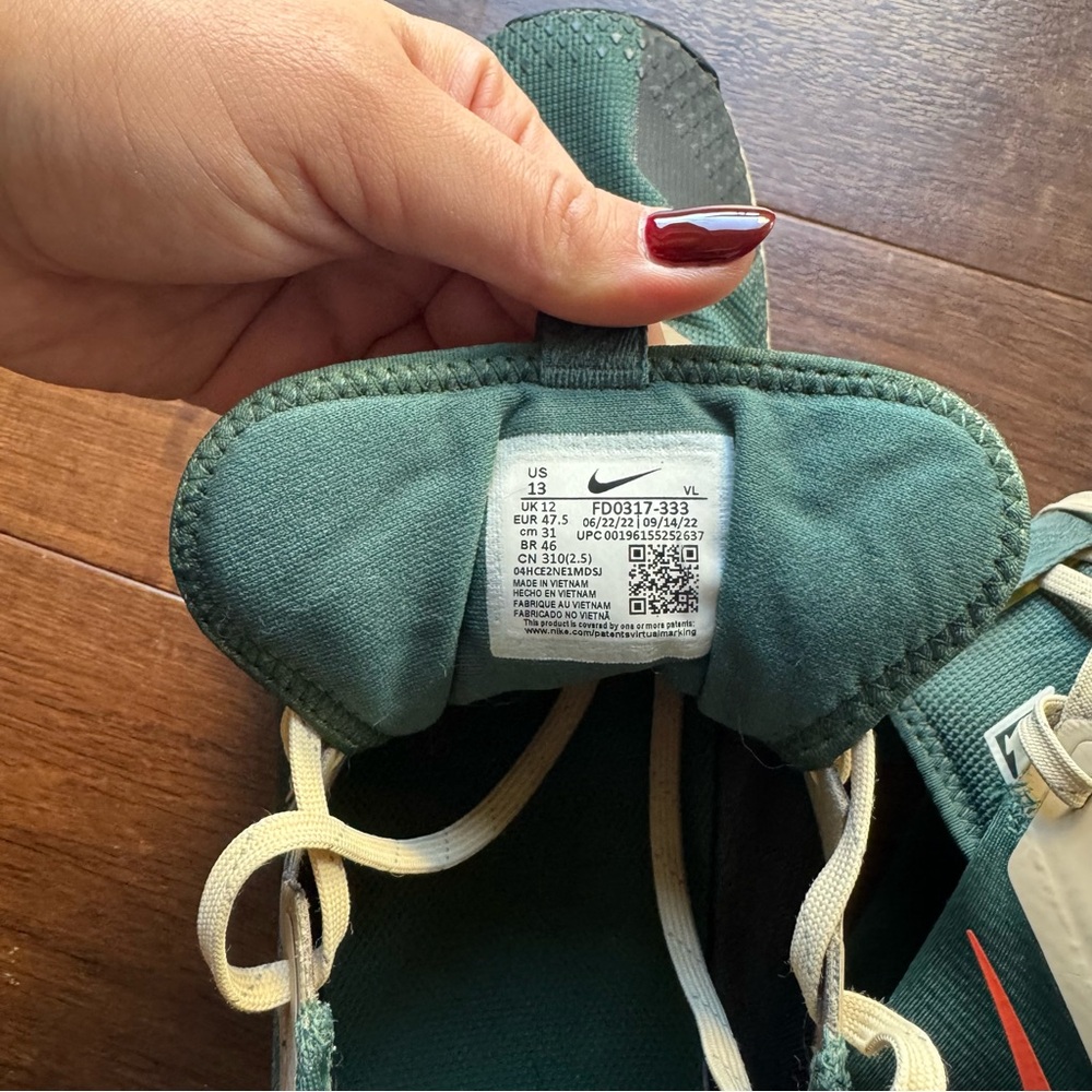 Nike Pegasus Trail 4 Gore-Tex - Picture 7 of 8